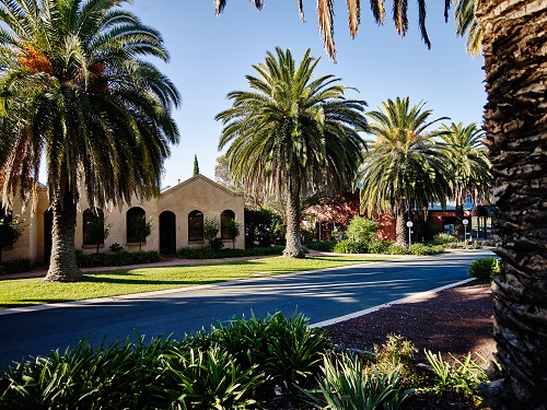 Rutherglen Estates cellar door